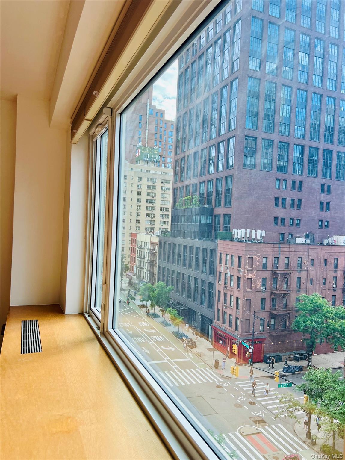 411 E 53rd Street Unit 8L
