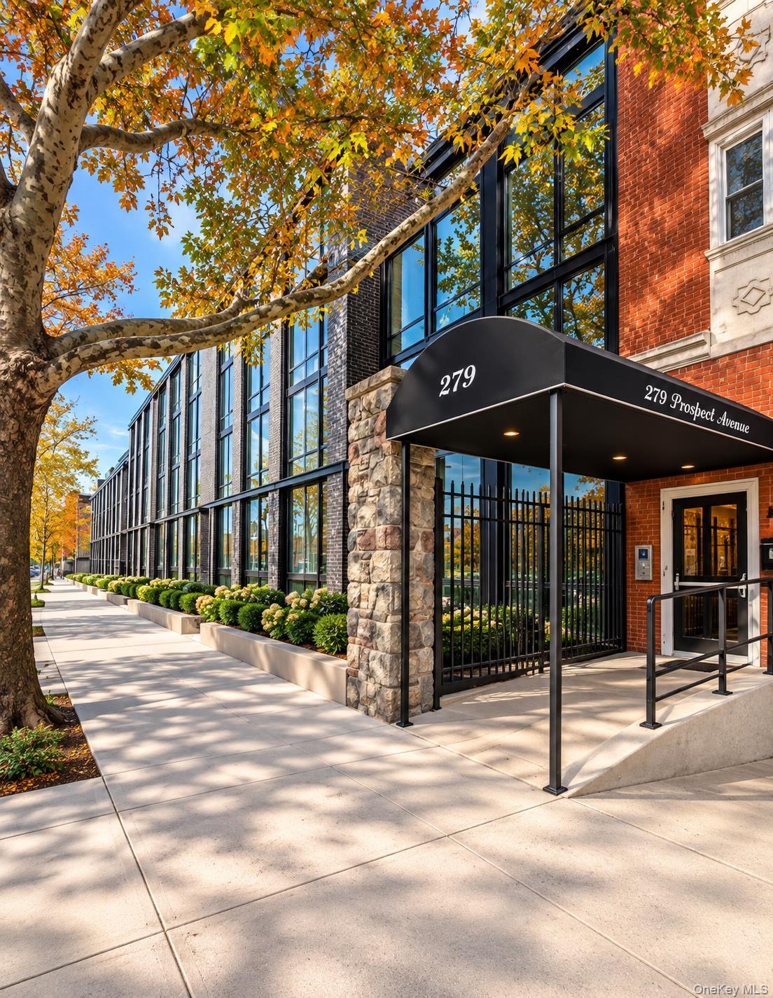 279 Prospect Ave Unit 1D